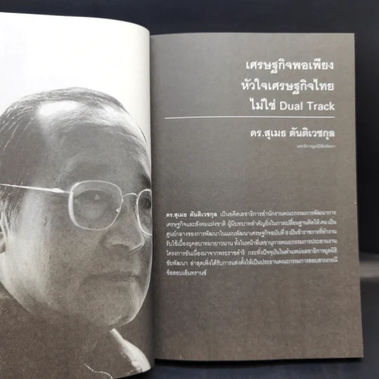 พิษทักษิณ - ภิญโญ ไตรสุริยธรรมา รูปที่ 11