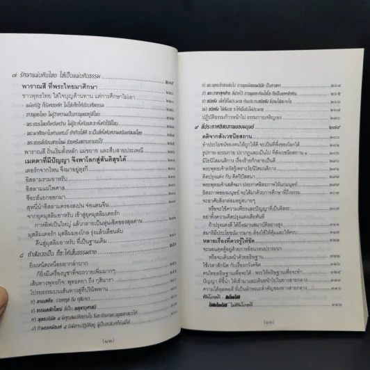 จาริกบุญ จารึกธรรม - พระพรหมคุณากรณ์ (ป.อ.ปยุตโต) รูปที่ 11