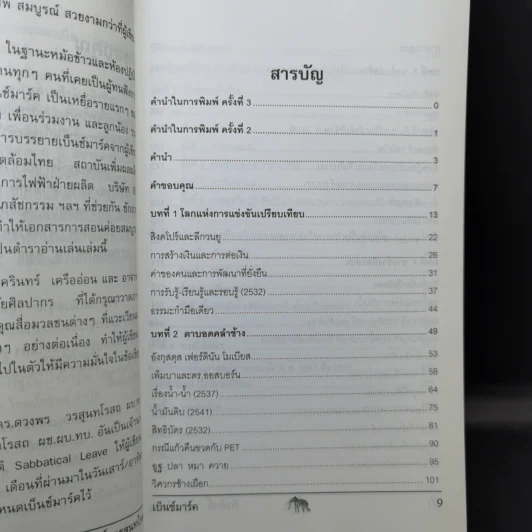 วัดรอยเท้าช้าง - พีรศักดิ์ วรสุนทรโรสถ รูปที่ 11
