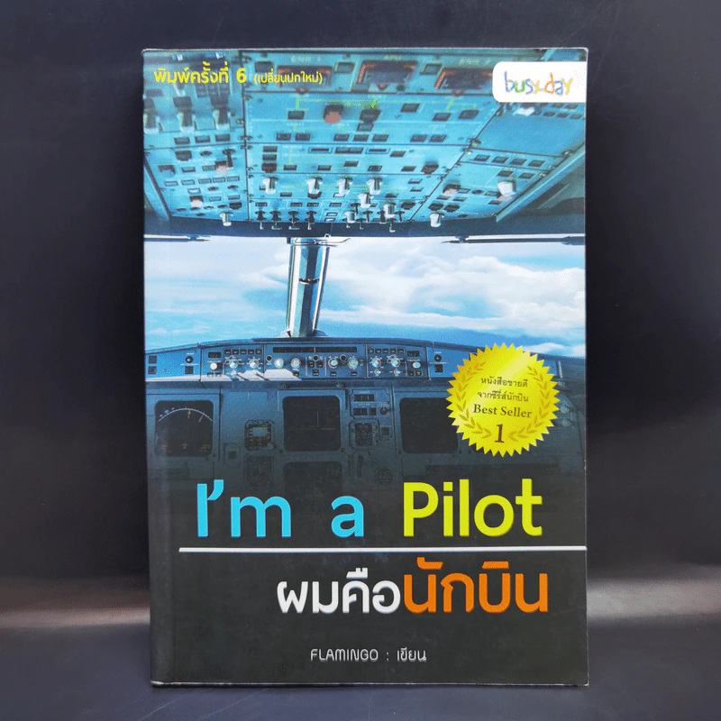 I'm a Pilot ผมคือนักบิน - Flamingo รูปที่ 1