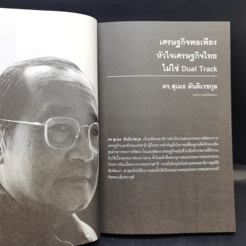 พิษทักษิณ - ภิญโญ ไตรสุริยธรรมา รูปที่ 11