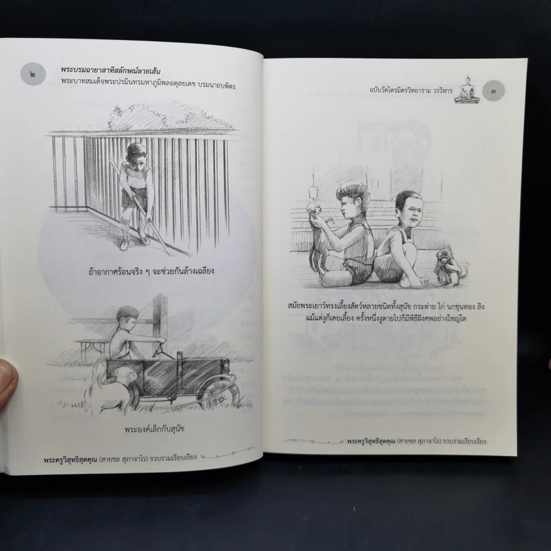 พระบรมสาทิสลักษณ์ลายเส้น พระบาทสมเด็จพระปรมินทรมหาภูมิพลอดุลยเดช บรมนาถบพิตร รูปที่ 12