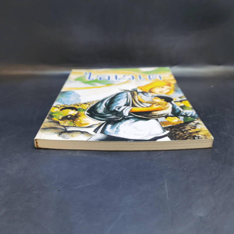 ไอเวเด หนังสือศาสนาคริสต์ รูปที่ 4
