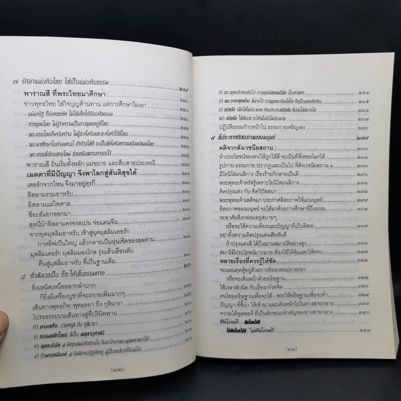 จาริกบุญ จารึกธรรม - พระพรหมคุณากรณ์ (ป.อ.ปยุตโต) รูปที่ 11
