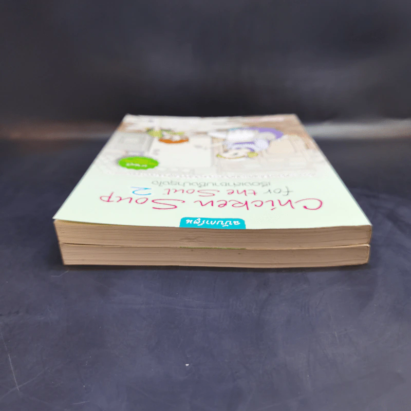 Chicken Soup for the Soul เรื่องเล่าซาบซึ้งบำรุงใจ ฉบับการ์ตูน เล่ม 1-2 รูปที่ 6