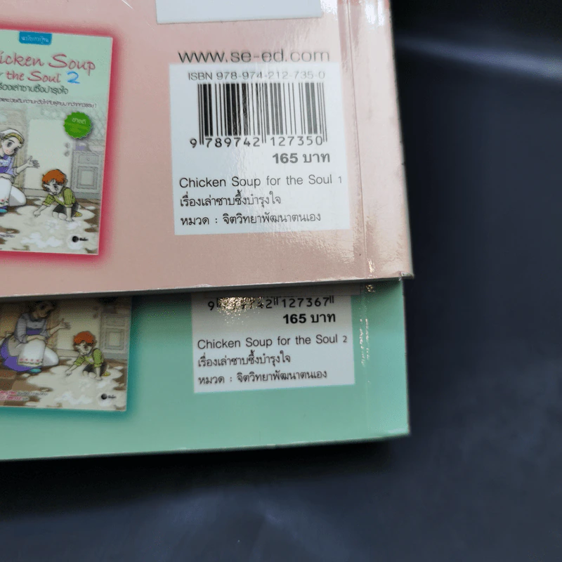Chicken Soup for the Soul เรื่องเล่าซาบซึ้งบำรุงใจ ฉบับการ์ตูน เล่ม 1-2 รูปที่ 16
