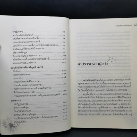 ปาฏิหาริย์แห่งการตื่นอยู่เสมอ - ติช นัท ฮันห์ รูปที่ 11