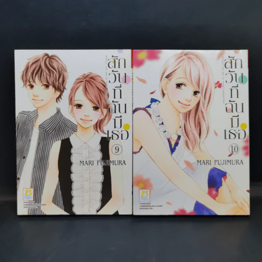 สักวันที่ฉันมีเธอ 13 เล่มจบ - Mari Fujimura รูปที่ 11