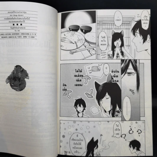 การ์ตูนวาย วุ่นจริงพ่อเทพจิ้งจอก - Rihito Takarai รูปที่ 12