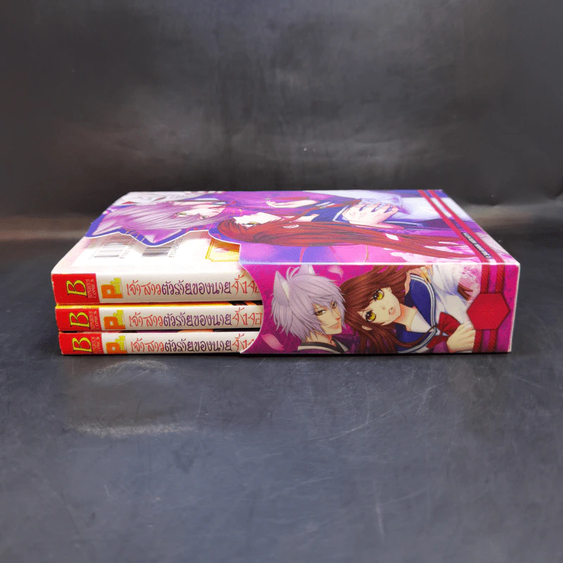 เจ้าสาวตัวน้อยของนายจิ้งจอก 3 เล่มจบ Boxset - Saki Aikawa รูปที่ 2