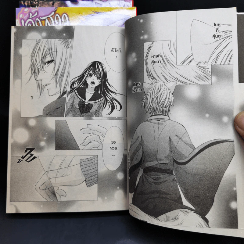 เจ้าสาวตัวน้อยของนายจิ้งจอก 3 เล่มจบ Boxset - Saki Aikawa รูปที่ 11