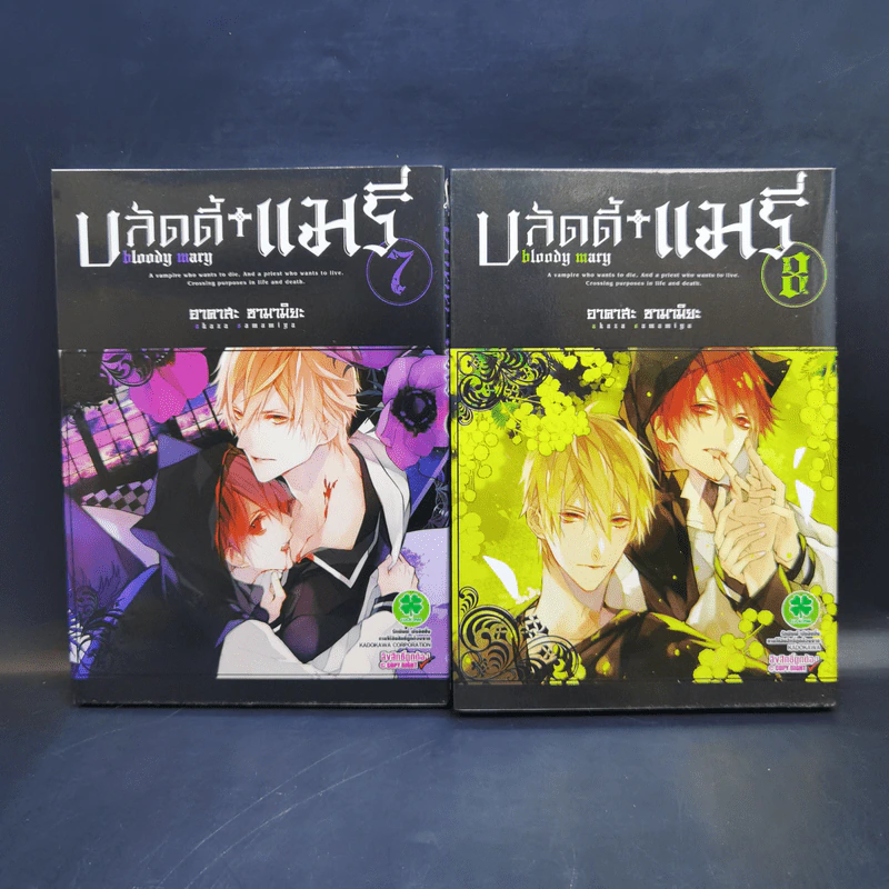 การ์ตูนวาย บลัดดี้ แมรี่ Bloody Mary 10 เล่มจบ รูปที่ 10