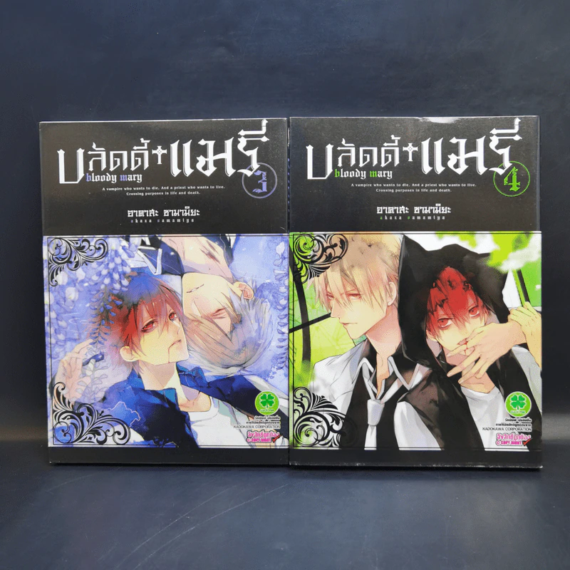 การ์ตูนวาย บลัดดี้ แมรี่ Bloody Mary 10 เล่มจบ รูปที่ 8