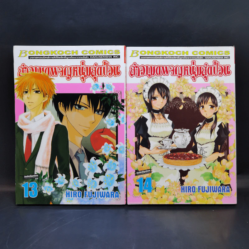 สาวเมดผจญหนุ่มสุดป่วน 18 เล่มจบ - Hiro Fujiwara รูปที่ 13