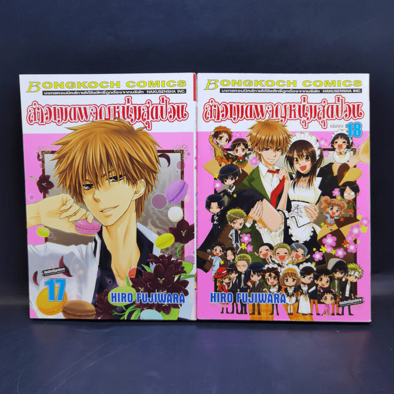 สาวเมดผจญหนุ่มสุดป่วน 18 เล่มจบ - Hiro Fujiwara รูปที่ 15