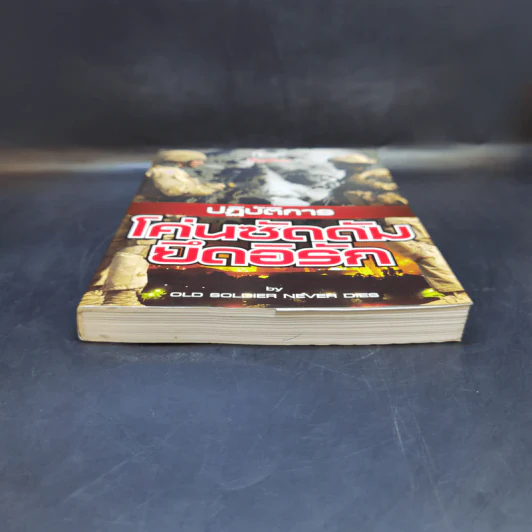ปฏิบัติการโค่นซัดดัมยึดอิรัก - Old Soldier Never Dies รูปที่ 4