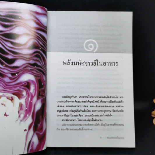 พลังมหัศจรรย์ในอาหาร - เภสัชกรสรจักร ศิริบริรักษ์ รูปที่ 12