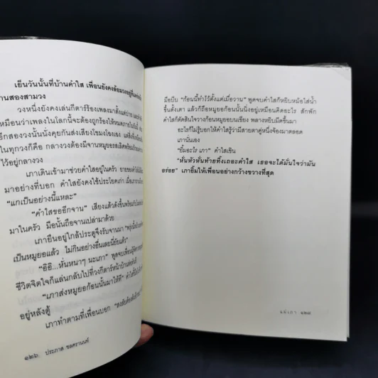 แม่เภา - ประภาส ชลศรานนท์ รูปที่ 11
