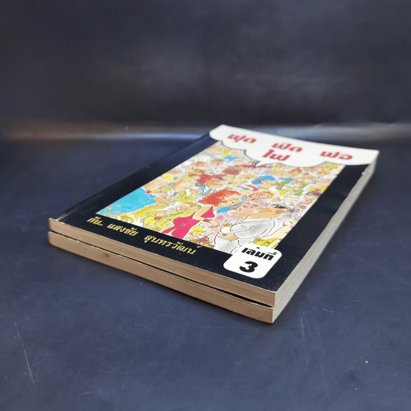 ฟุดฟิดฟอไฟ กับ แสงชัย สุนทรวัฒน์ เล่ม 1,3 รูปที่ 6