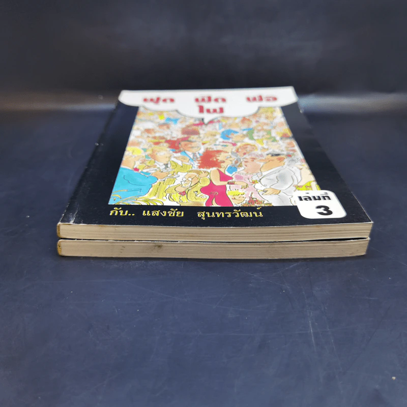 ฟุดฟิดฟอไฟ กับ แสงชัย สุนทรวัฒน์ เล่ม 1,3 รูปที่ 3