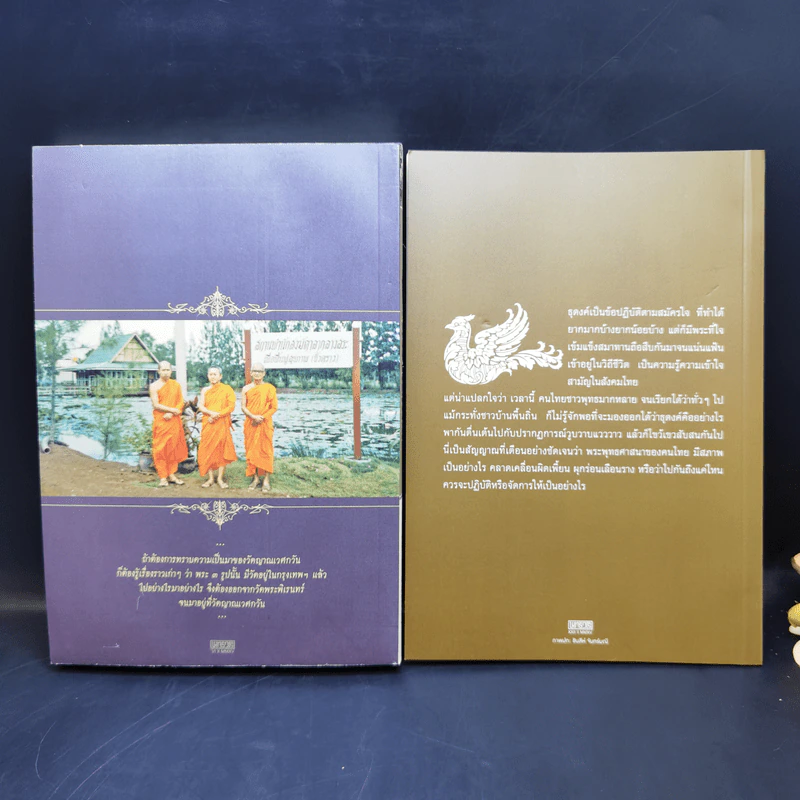 กว่าจะพบหลวงลุงฉาย แล้วพากันไปวัดญาณเวศก์ + ธุดงค์ทำอะไร ที่ไหน เพื่ออะไร - พระพรหมคุณากรณ์ รูปที่ 2