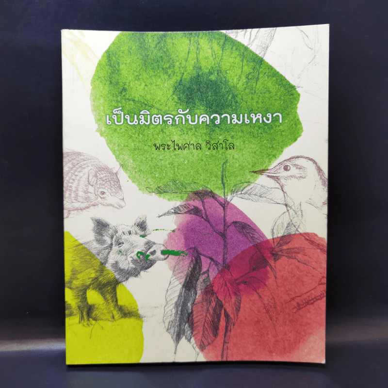 เป็นมิตรกับความเหงา - พระไพศาล วิสาโล รูปที่ 1