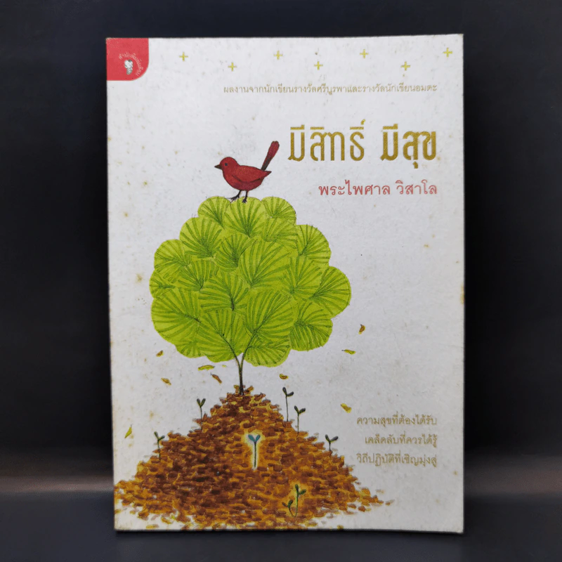มีสิทธิ์ มีสุข - พระไพศาล วิสาโล รูปที่ 1