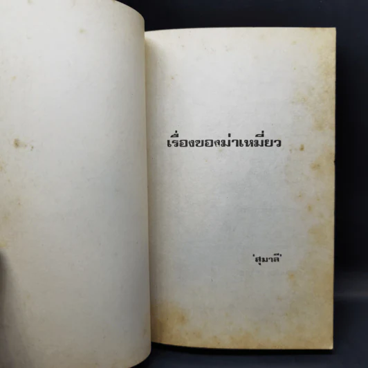 เรื่องของม่าเหมี่ยว - สุมาลี รูปที่ 8