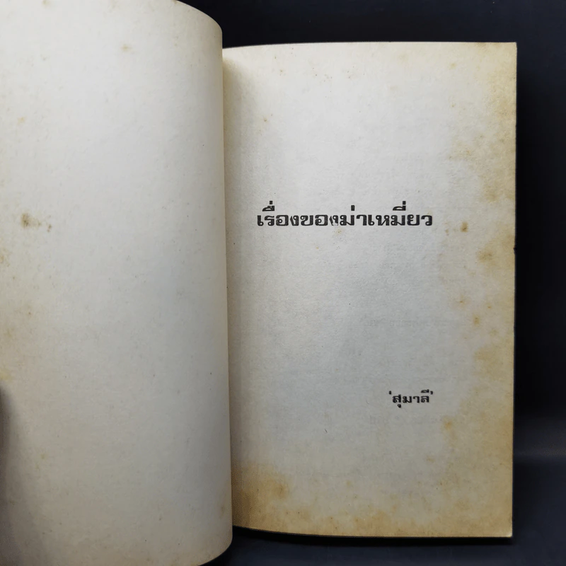 เรื่องของม่าเหมี่ยว - สุมาลี รูปที่ 8