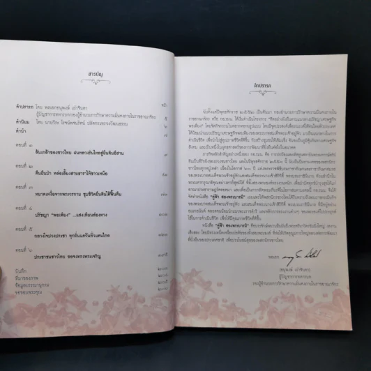 คู่ฟ้าสองพระบารมี รูปที่ 9