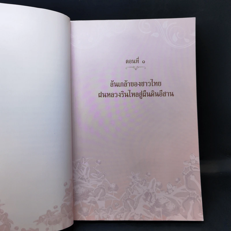 คู่ฟ้าสองพระบารมี รูปที่ 11