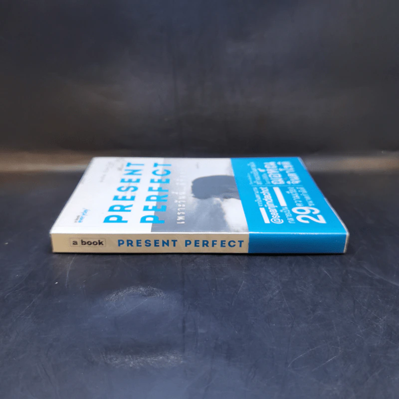 Present Perfect เพราะวันนี้ดีที่สุดแล้ว - ฌอห์ณ จินดาโชติ รูปที่ 3