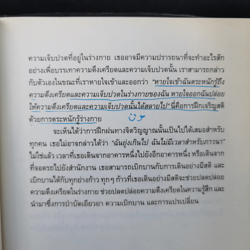 สันติสุขทุกลมหายใจ - ติช นัท ฮันห์ รูปที่ 14