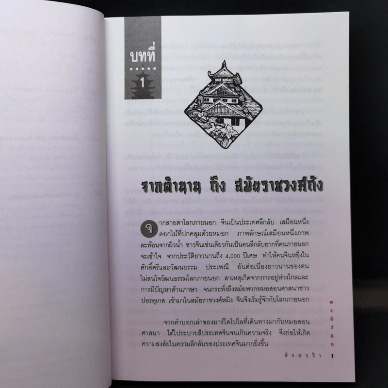 หงส์ร่อน มังกรรำ - พีระ บุญจริง แปล รูปที่ 11