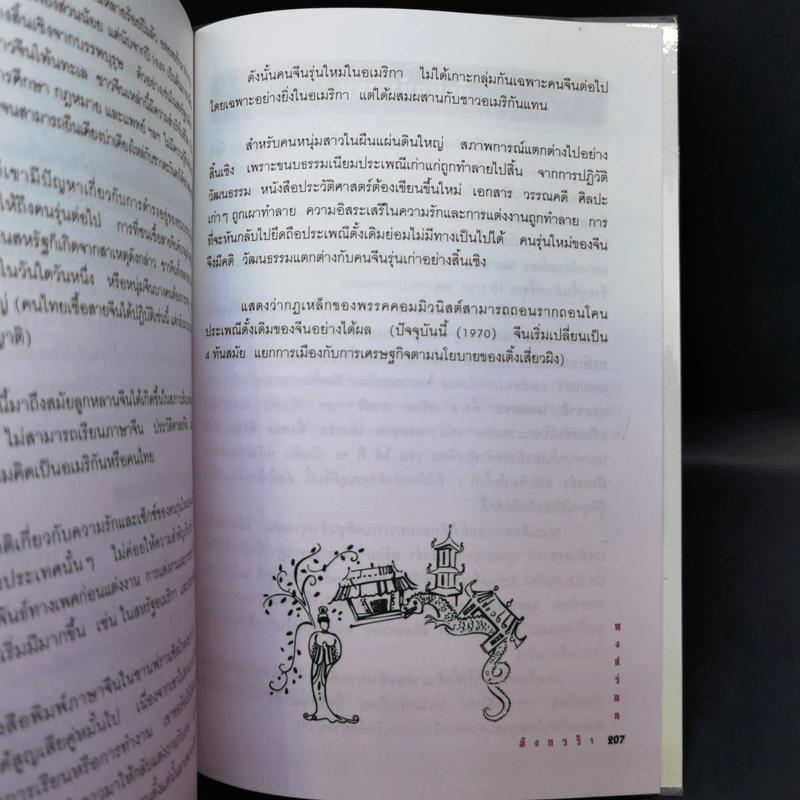 หงส์ร่อน มังกรรำ - พีระ บุญจริง แปล รูปที่ 12