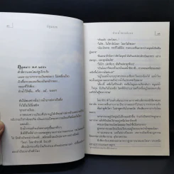 นางนวลสิบสองปันนา โลมาอิระวดี - สมควร กวียะ รูปที่ 10