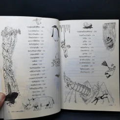 OMG! มหัศจรรย์ได้อีก The World's Best Book - Jan Payne รูปที่ 12