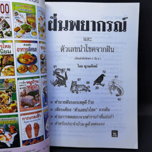 ฝันพยากรณ์ - ญาณทิพย์ รูปที่ 7
