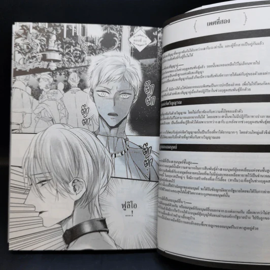 การ์ตูนวาย เสี้ยวรักสัตว์อสูร เล่ม 1-3 - ฮาสุมิ ฮานะ รูปที่ 13