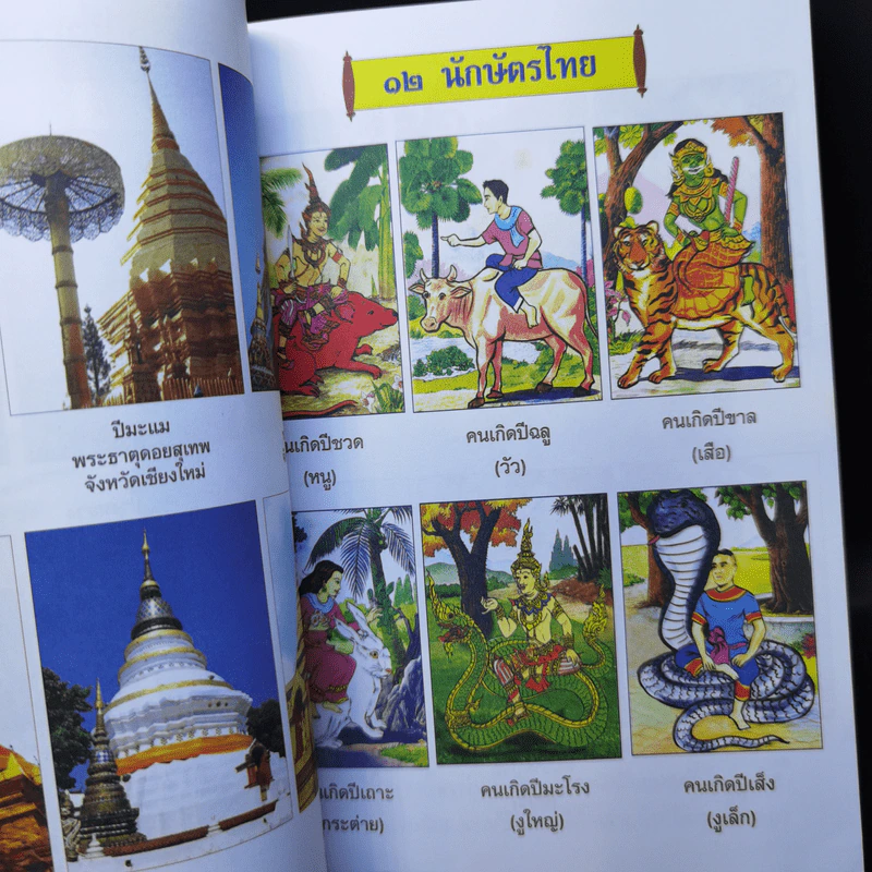 ฝันดี-ฝันร้าย - อ.เตชินี ชวลิต รูปที่ 10