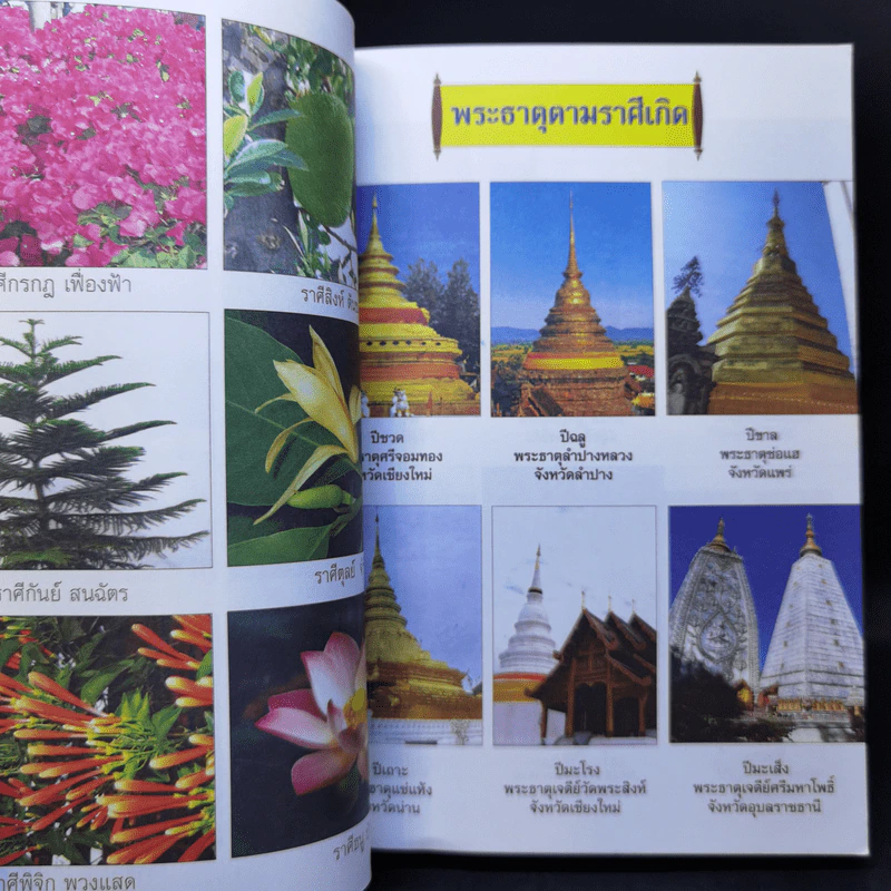ฝันดี-ฝันร้าย - อ.เตชินี ชวลิต รูปที่ 9