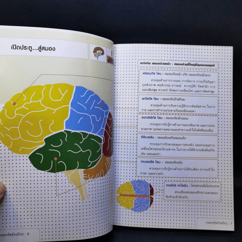 ถอดรหัสอัจฉริยะ Mind Games - Michael Powell รูปที่ 10