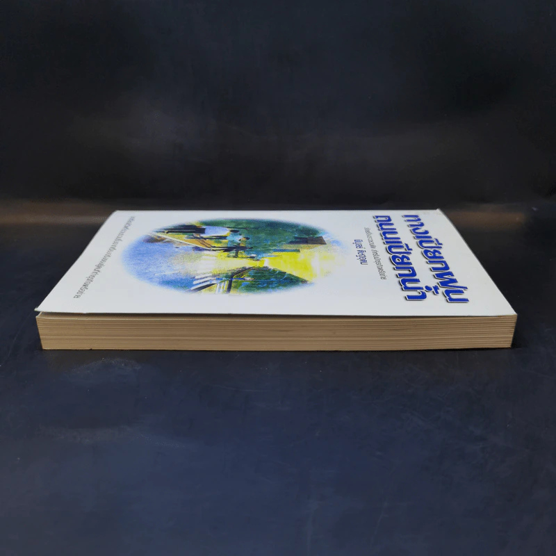 ทางเปียกฝน ถนนเปียกน้ำ เล่ม 1 - พิบูลย์ ดิษฐอุดม รูปที่ 5