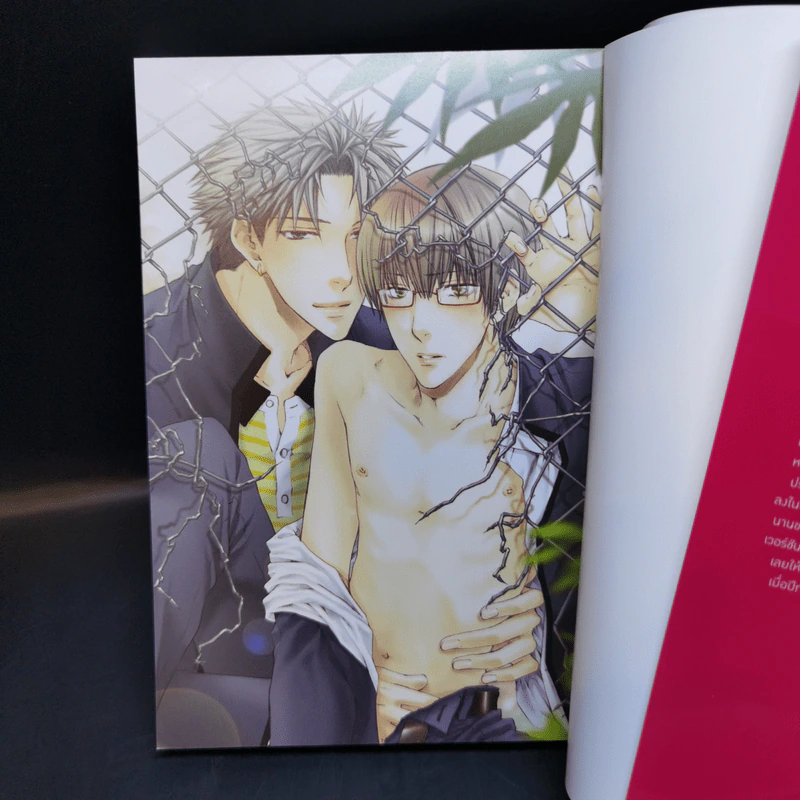 การ์ตูนวาย อย่าโหดร้ายกับฉันนัก เล่ม 1-4 - โยเนโซ เนโกะตะ รูปที่ 8