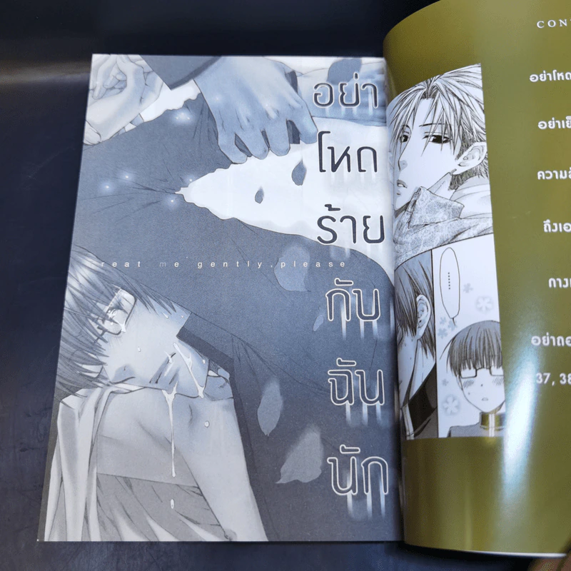 การ์ตูนวาย อย่าโหดร้ายกับฉันนัก เล่ม 1-4 - โยเนโซ เนโกะตะ รูปที่ 9