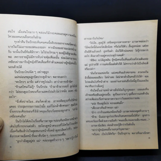 เลื่อมสลับลาย - กฤษณา อโศกสิน รูปที่ 10