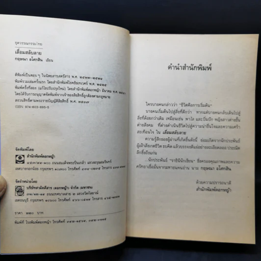 เลื่อมสลับลาย - กฤษณา อโศกสิน รูปที่ 8