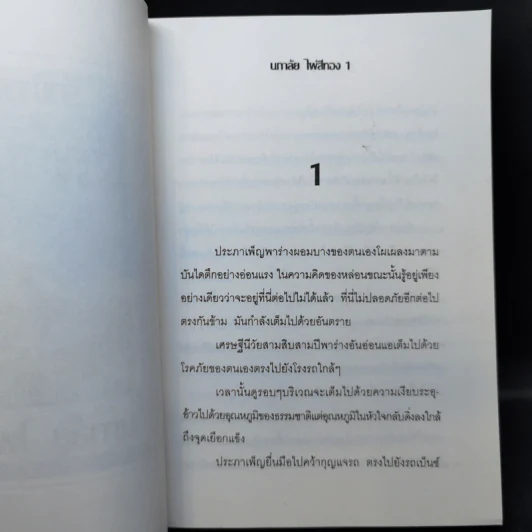 รักข้ามภพ - นภาลัย ไผ่สีทอง รูปที่ 9