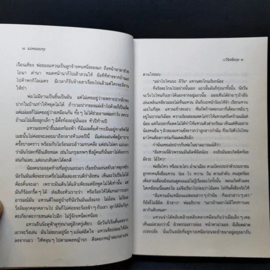 แม่พลอยหุง - ว.วินิจฉัยกุล รูปที่ 9