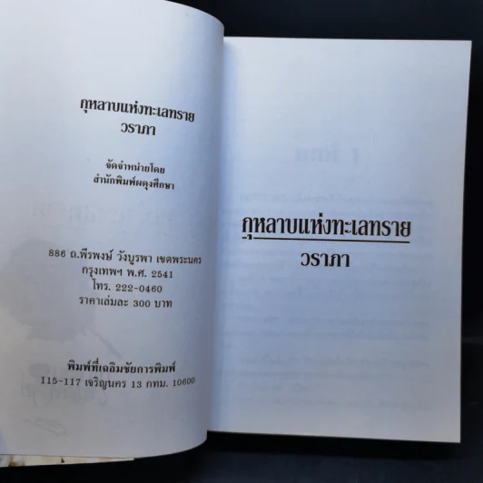 กุหลาบแห่งทะเลทราย - วราภา รูปที่ 8